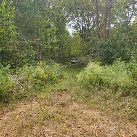 1933 W Highway 136 Talking Rock GA 30175