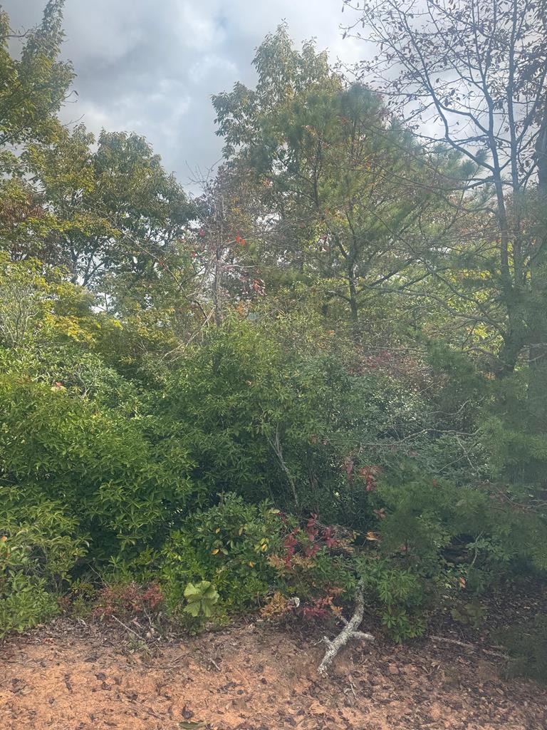 Lot 16 Brown Hawk Clayton GA 30525