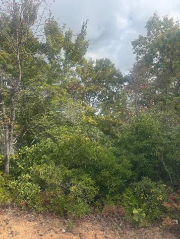 Lot 16 Brown Hawk Clayton GA 30525