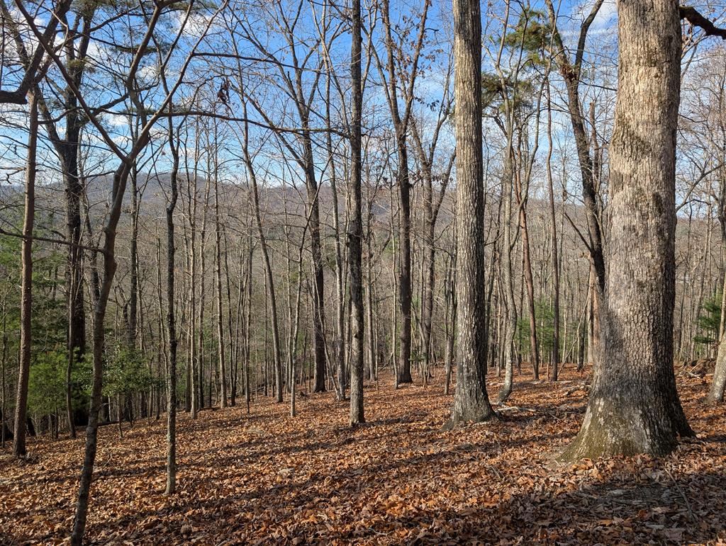 902 Mountain Top Drive Murphy NC 20906