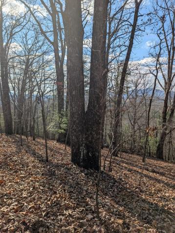 902 Mountain Top Drive Murphy NC 20906