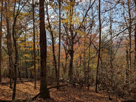 902 Mountain Top Drive Murphy NC 20906