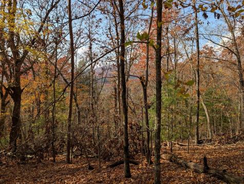 902 Mountain Top Drive Murphy NC 20906