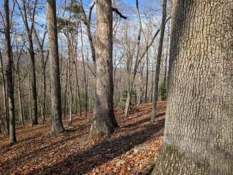 902 Mountain Top Drive Murphy NC 20906