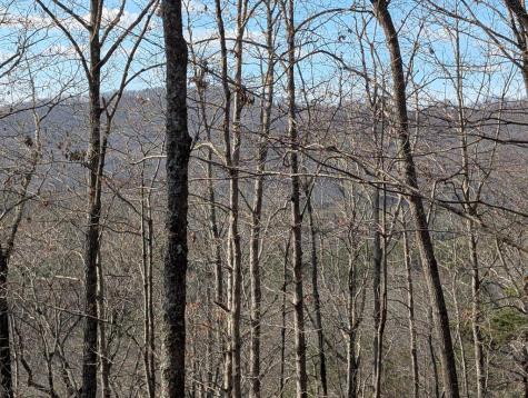 902 Mountain Top Drive Murphy NC 20906