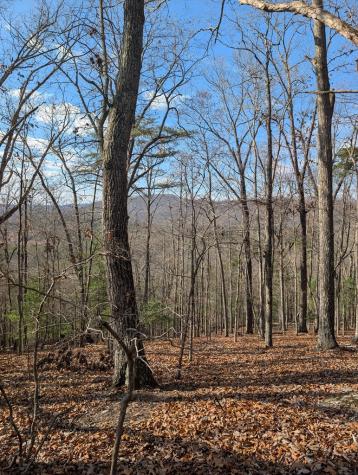902 Mountain Top Drive Murphy NC 20906