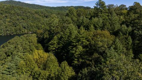 Lot 46 Lake Appalachia Ac Drive Murphy NC 28906