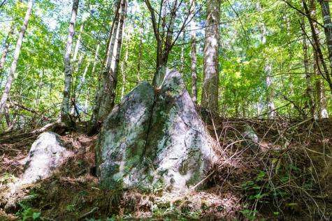 Lot 46 Lake Appalachia Ac Drive Murphy NC 28906