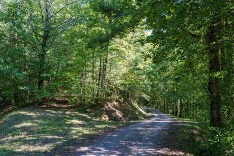Lot 46 Lake Appalachia Ac Drive Murphy NC 28906