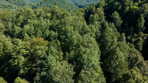 Lot 46 Lake Appalachia Ac Drive Murphy NC 28906