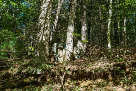 Lot 46 Lake Appalachia Ac Drive Murphy NC 28906