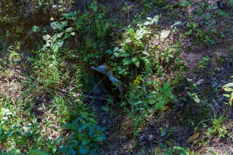 Lot 46 Lake Appalachia Ac Drive Murphy NC 28906