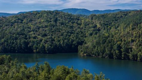 Lot 46 Lake Appalachia Ac Drive Murphy NC 28906