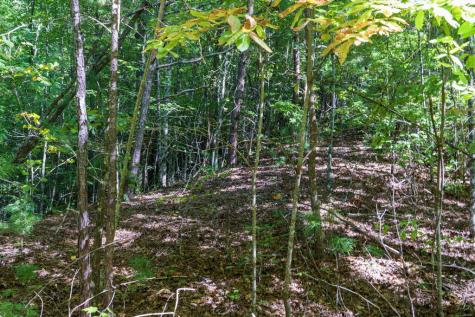 Lot 46 Lake Appalachia Ac Drive Murphy NC 28906