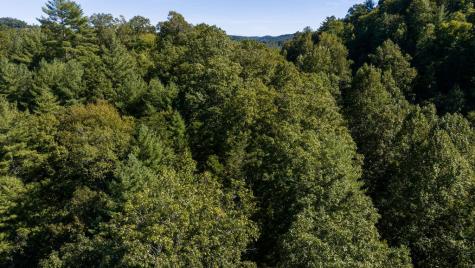 Lot 46 Lake Appalachia Ac Drive Murphy NC 28906