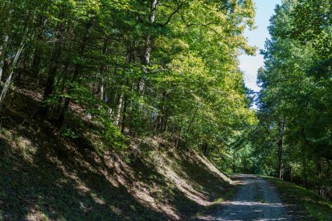 Lot 46 Lake Appalachia Ac Drive Murphy NC 28906