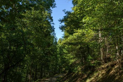 Lot 46 Lake Appalachia Ac Drive Murphy NC 28906