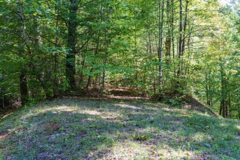 Lot 46 Lake Appalachia Ac Drive Murphy NC 28906