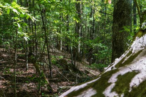 Lot 46 Lake Appalachia Ac Drive Murphy NC 28906