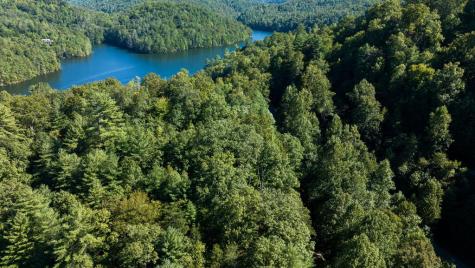 Lot 46 Lake Appalachia Ac Drive Murphy NC 28906