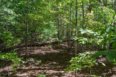 Lot 46 Lake Appalachia Ac Drive Murphy NC 28906