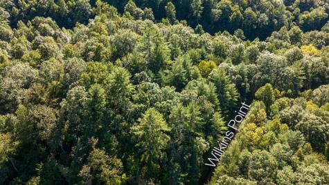 Lot 46 Lake Appalachia Ac Drive Murphy NC 28906