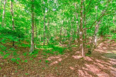 Lot 10 Cashes Valley Lane Blue Ridge GA 30513