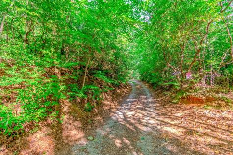 Lot 10 Cashes Valley Lane Blue Ridge GA 30513