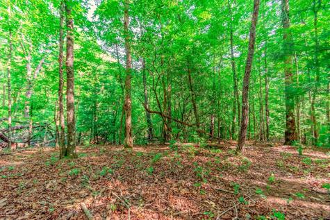 Lot 10 Cashes Valley Lane Blue Ridge GA 30513