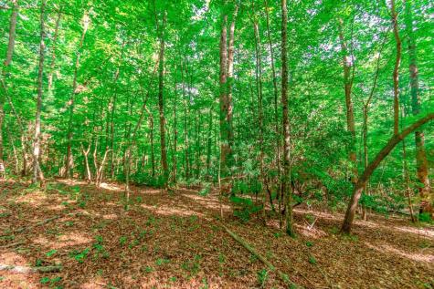 Lot 10 Cashes Valley Lane Blue Ridge GA 30513