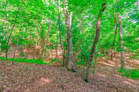 Lot 10 Cashes Valley Lane Blue Ridge GA 30513