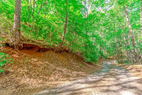 Lot 10 Cashes Valley Lane Blue Ridge GA 30513