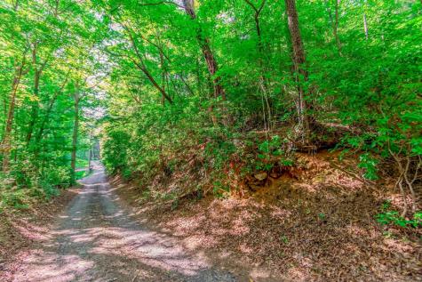 Lot 10 Cashes Valley Lane Blue Ridge GA 30513