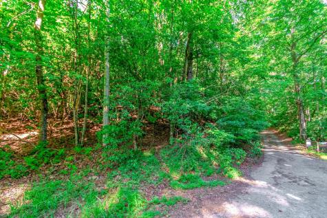Lot 10 Cashes Valley Lane Blue Ridge GA 30513
