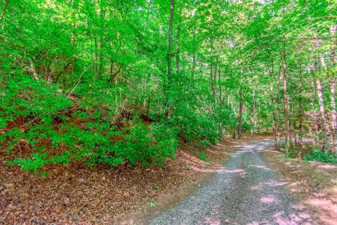 Lot 10 Cashes Valley Lane Blue Ridge GA 30513