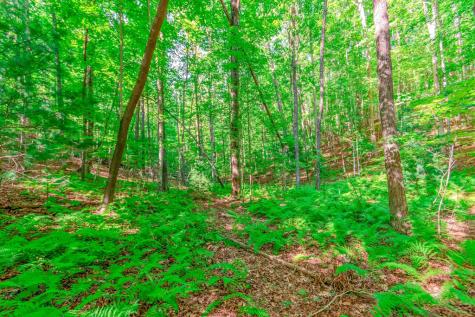 Lot 10 Cashes Valley Lane Blue Ridge GA 30513