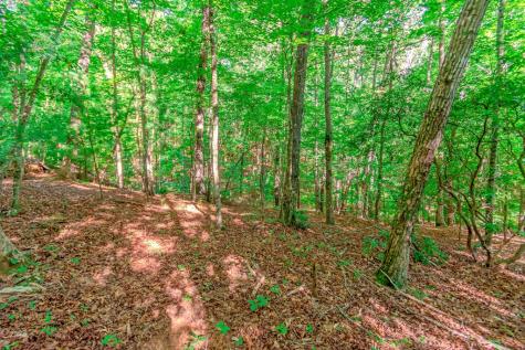 Lot 10 Cashes Valley Lane Blue Ridge GA 30513