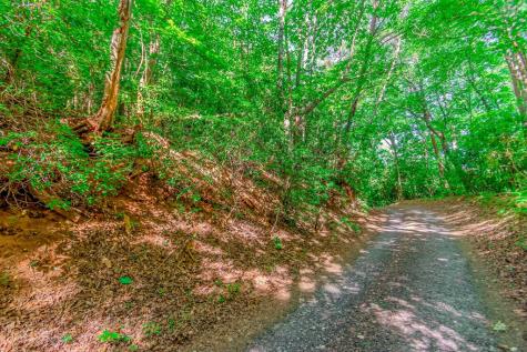 Lot 10 Cashes Valley Lane Blue Ridge GA 30513