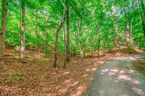 Lot 10 Cashes Valley Lane Blue Ridge GA 30513