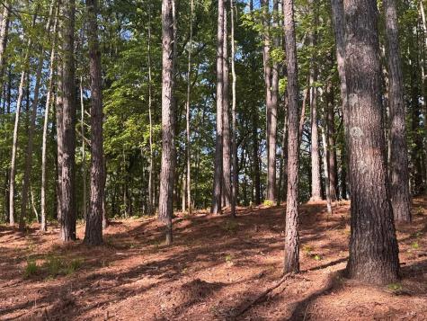 Lot 3 Grassy Creek Road Copperhill TN 37317