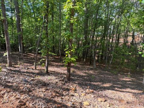 Lot 3 Grassy Creek Road Copperhill TN 37317