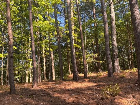 Lot 3 Grassy Creek Road Copperhill TN 37317