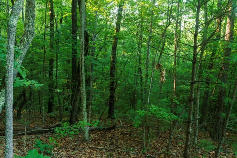 0 Gloryland Way Murphy NC 28906