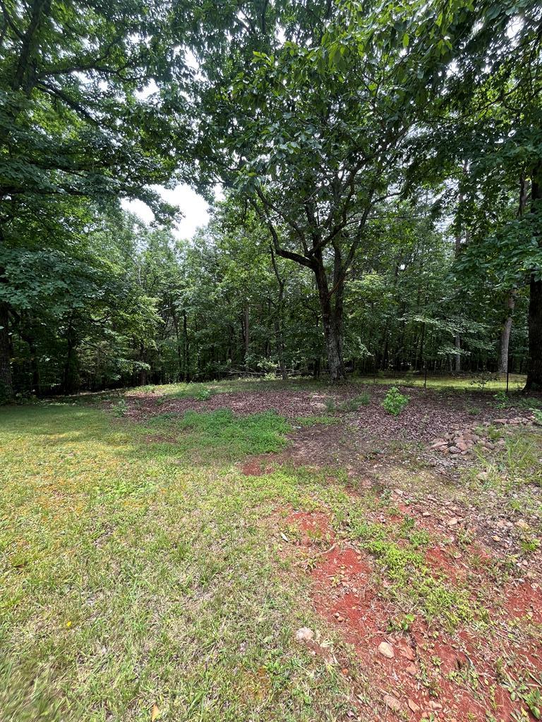 0 Whitestone Drive Cleveland GA 30528