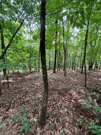 0 Whitestone Drive Cleveland GA 30528
