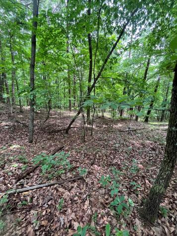 0 Whitestone Drive Cleveland GA 30528