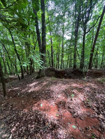 0 Whitestone Drive Cleveland GA 30528