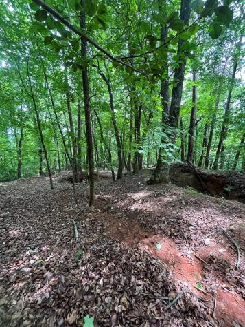 0 Whitestone Drive Cleveland GA 30528