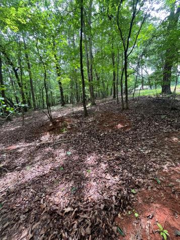 0 Whitestone Drive Cleveland GA 30528