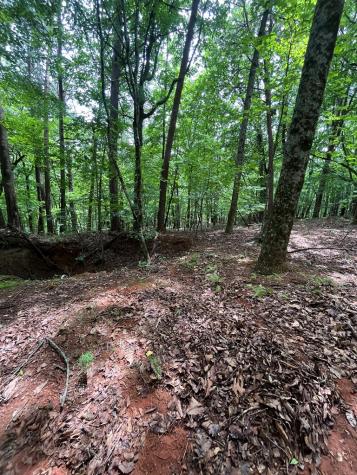 0 Whitestone Drive Cleveland GA 30528